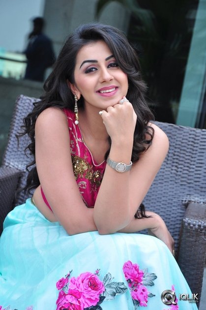 Nikki-Galrani-at-Krishnashtami-Movie-Platinum-Disc-Function